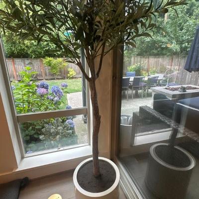 More plants 