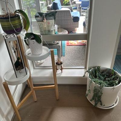 Potted plants