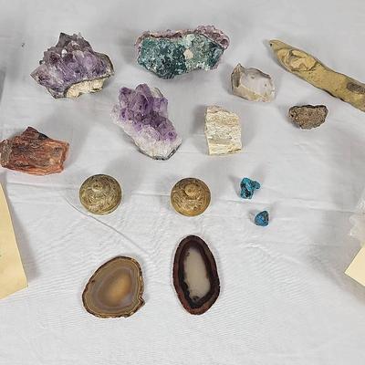 Collection of rocks, minerals, and fossils