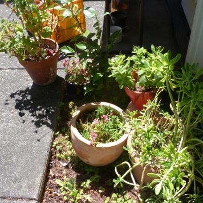 Sale Photo Thumbnail #59