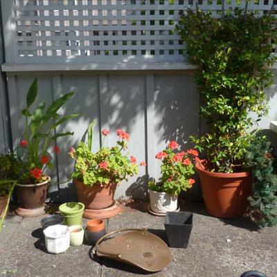 Sale Photo Thumbnail #30