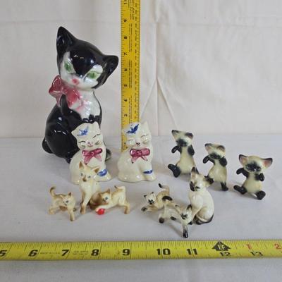 Kitty Collection 