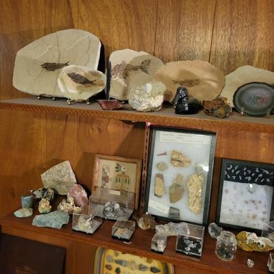 Sale Photo Thumbnail #136