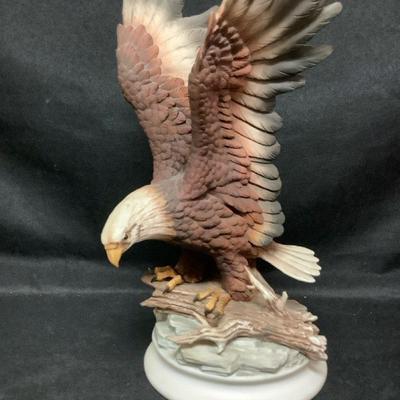 Bald Eagle