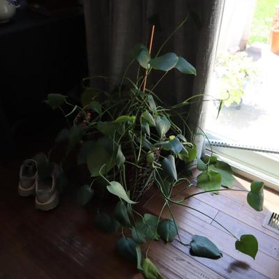 Sale Photo Thumbnail #26
