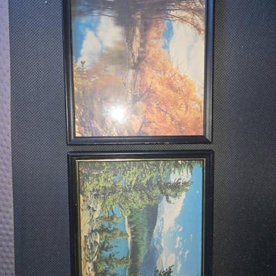 Sale Photo Thumbnail #2543