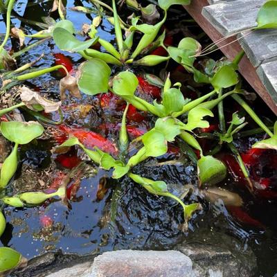 Sale Photo Thumbnail #848