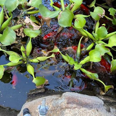 Sale Photo Thumbnail #843