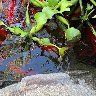 Sale Photo Thumbnail #851