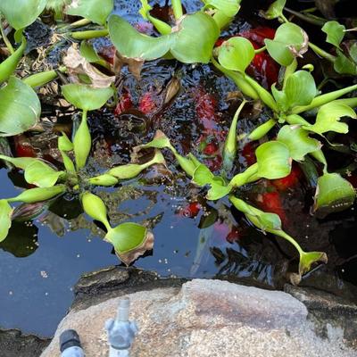 Sale Photo Thumbnail #842