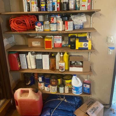 Chemical Lot With Paint, Cleaners, Oil & More, Including Taro & Extension Cord