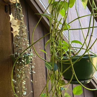 String Or Hearts, Pathos Plant And Owl Yard Art