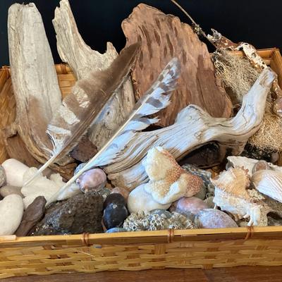 Basket Of Driftwood, Rocks, Coral And Shells 