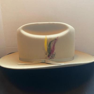 Stetson 3XBeaver Western Hat With Feathers 
