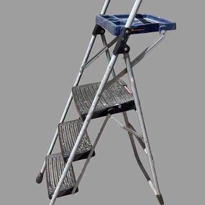 “Werner” Small Step Ladder 