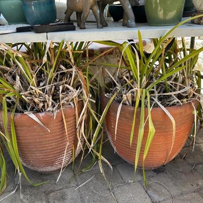 Sale Photo Thumbnail #517