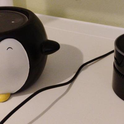 2 Amazon Alexas - 1 With Penguin Holder And 1 With Battery Base
