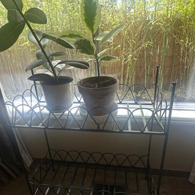 Plant stands