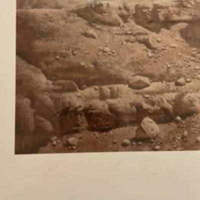 Sale Photo Thumbnail #47