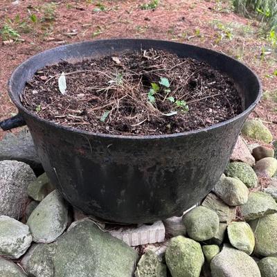 Cast Iron Cauldrons