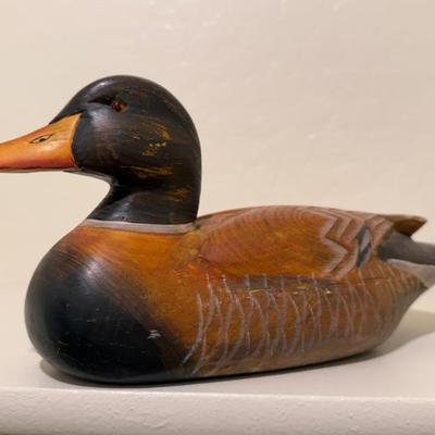 Sale Photo Thumbnail #98: Wood duck 