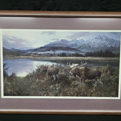 Bo442 autumn evening moose by marla wilson