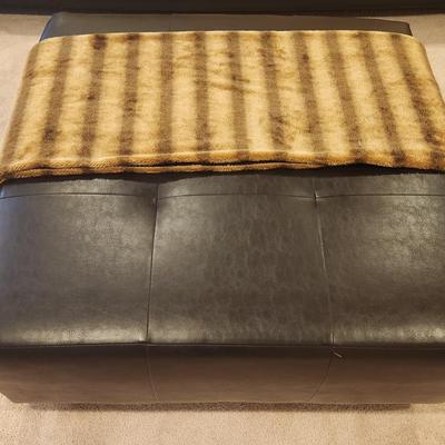 Coffee Table Ottoman 