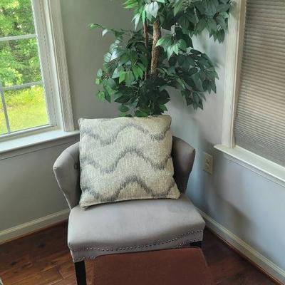 Chair, Ottoman, And Plant