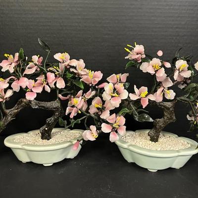 Asian Glass Flowering Cherry Bonsai Trees