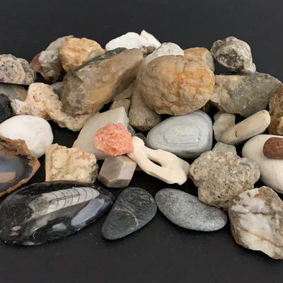 Rocks And Fossils Collection