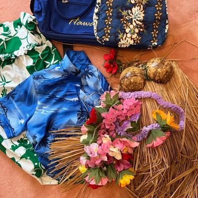 Hawaiian Clothes and Bags with Grass Skirt and Coconut Bra Outfit 