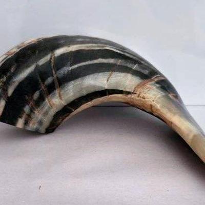 Ram Sofar Horn 