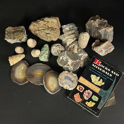 Rocks and Fossils with Agate Slices, Petrified Wood, Book