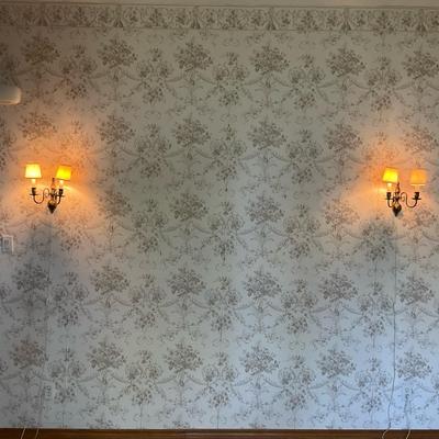 Vintage Electric Sconce Pair