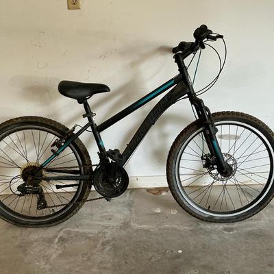 Specialized Mountain Bike 
