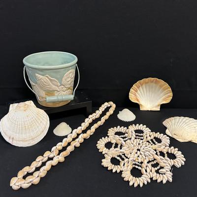 Shell Collector Finds