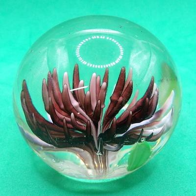 Paperweight