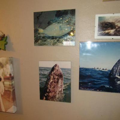 Sale Photo Thumbnail #187