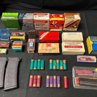 Lot 704: Assorted Ammo - 12g-16g Shells, .22 Rounds, 5.56 Rounds and More!