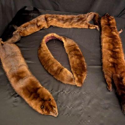 Three Vintage Brown Mink Fur Scarves & Collar