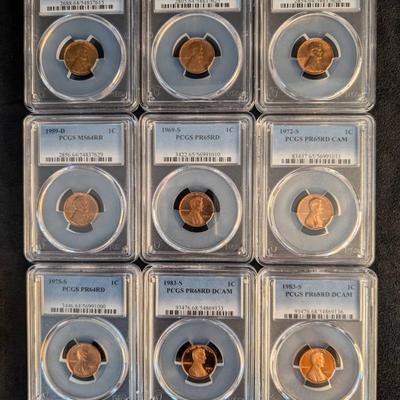 TN42 9 PCGS Lincoln Cents Slabbed