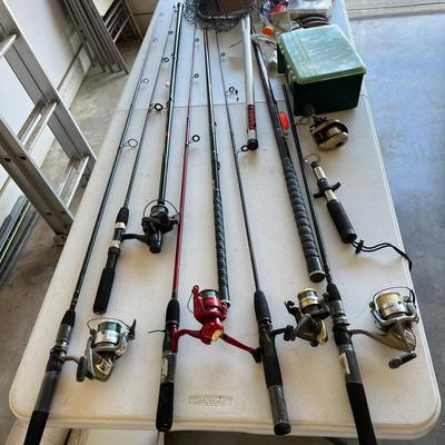 Let’s Go Fishing! 