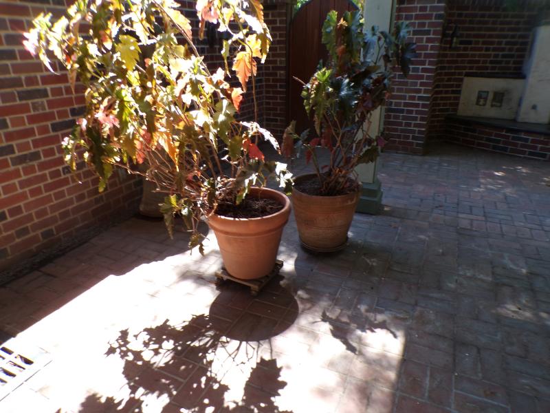 Sale Photo Thumbnail #9