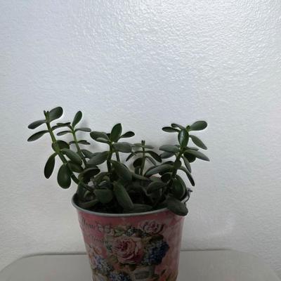 Sale Photo Thumbnail #69