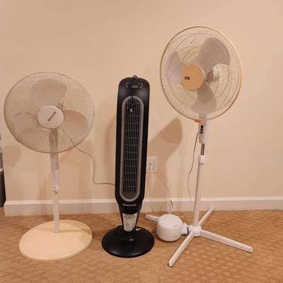 Fan Trio