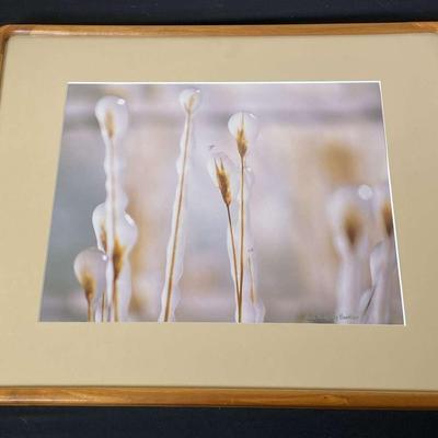 “Frozen Wheat” by Beth Kingsley Hawkins