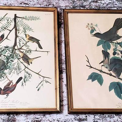 (2) Framed John J. Audubon Prints