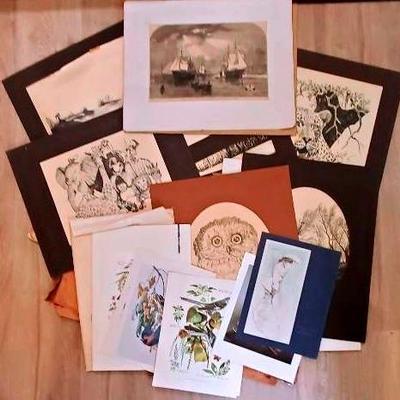 Mystery Lot- Portfolio Of Artwork 