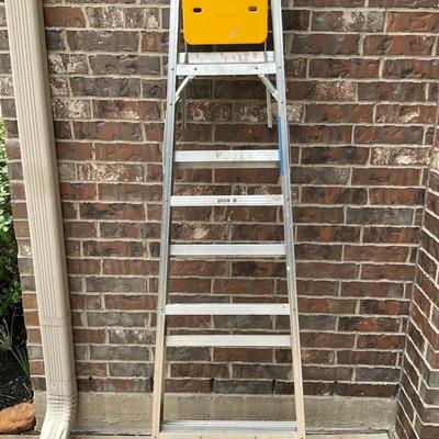 Werner 6 Ft Ladder