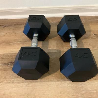 45lb Dumbbells 